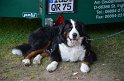 MCE Sommertreffen 2012 - 156